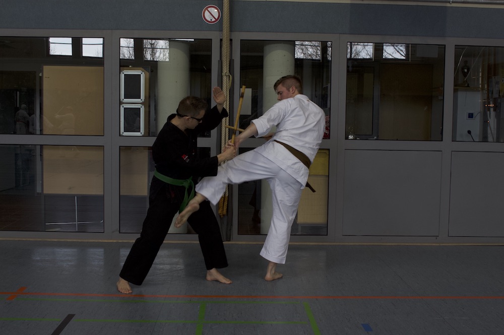 Benefizlehrgang gegen Gewalt - 8 Jahre Dokan Dojo