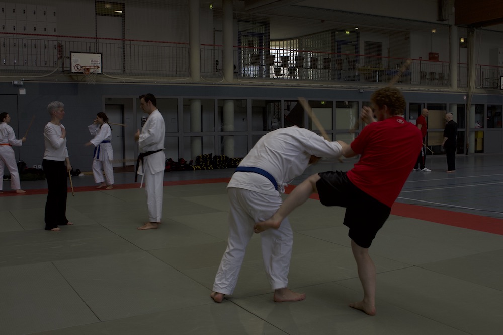 Benefizlehrgang gegen Gewalt - 8 Jahre Dokan Dojo