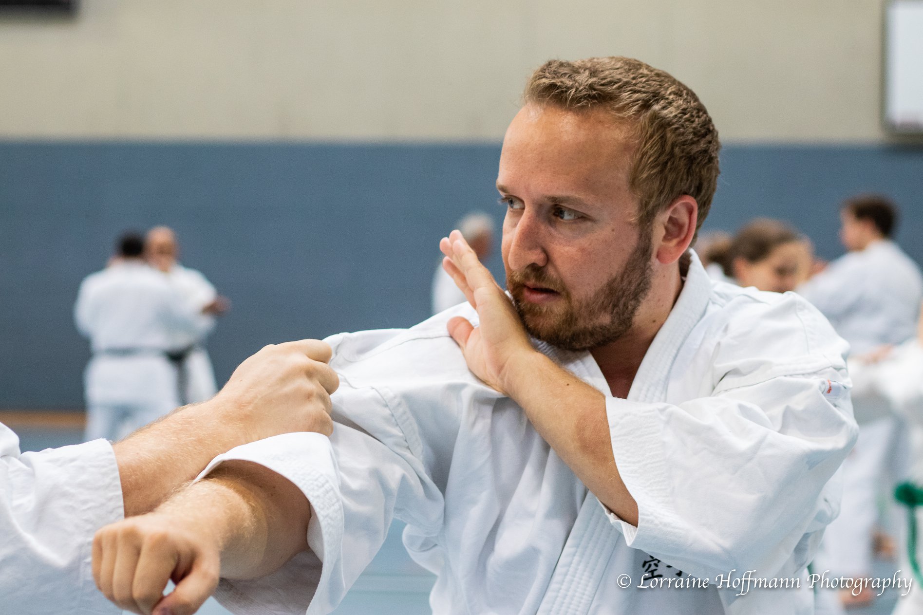 Bunkai Seminar mit Iain Abernethy und Christian Wedewardt