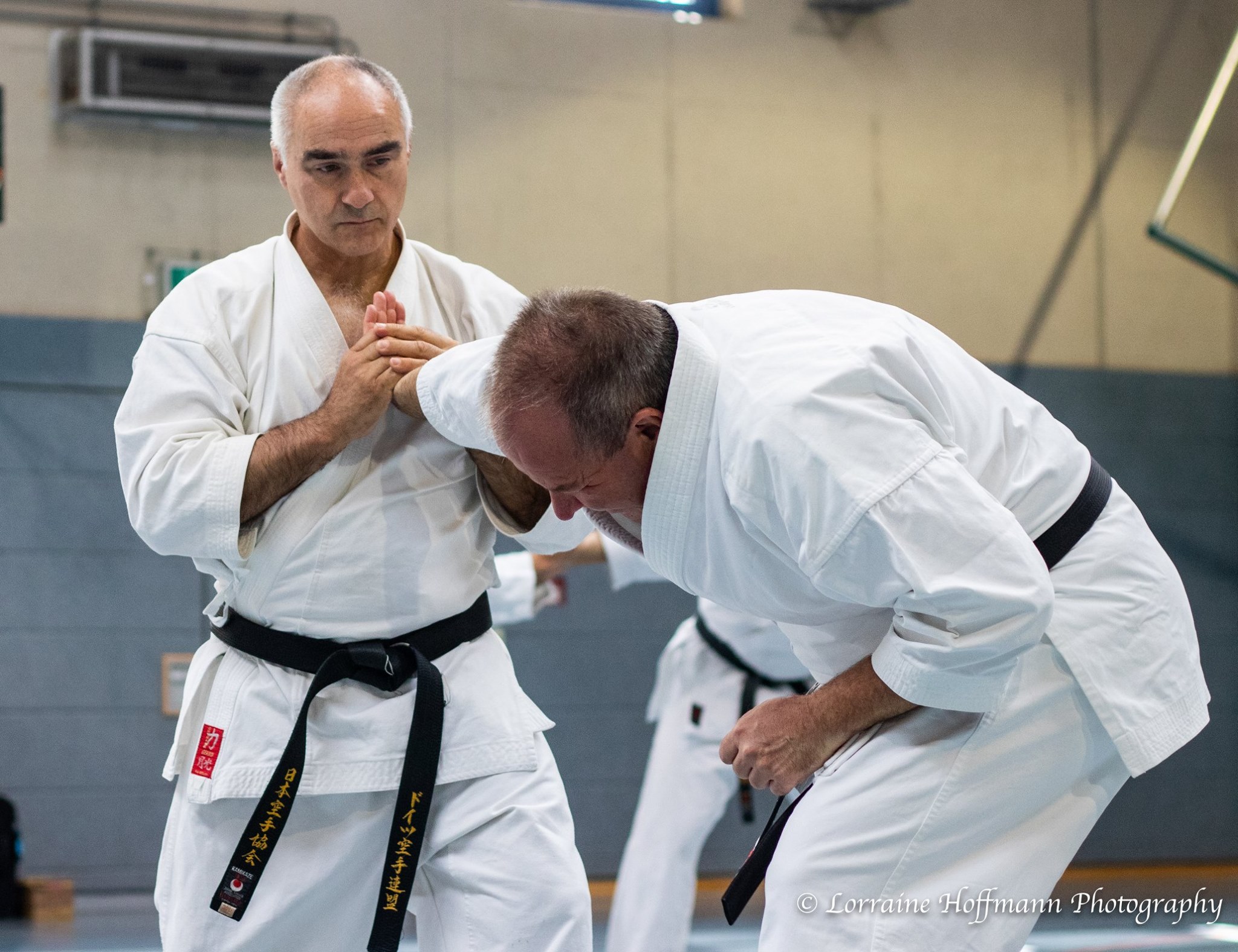 Bunkai Seminar mit Iain Abernethy und Christian Wedewardt